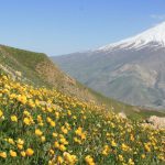 Damavand , Iran Hiking Tour