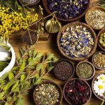 Iran Traditional Herbal Medicine History