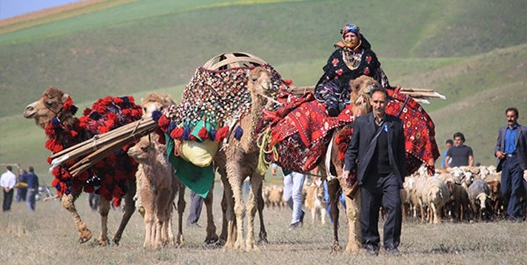 Firuzabad Qashqai Nomad