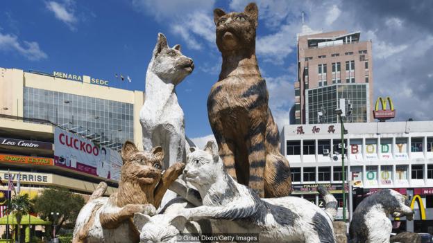 The Asian City obsessed with cats